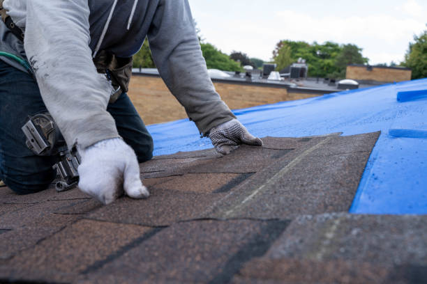 Quick and Trustworthy Emergency Roof Repair Services in Notre Dame, IN